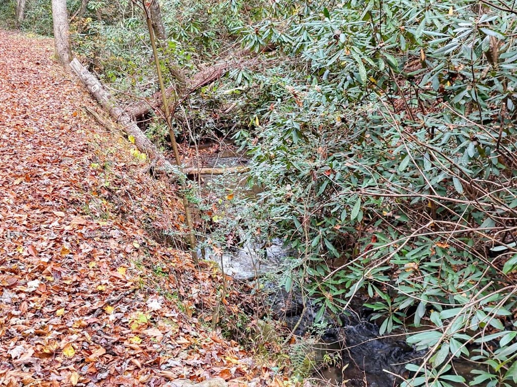 135.49ac Webb Creek Road, Andrews NC 28901 - Photo