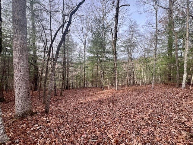 149 Hickory Way, Blue Ridge GA 30513 - Photo