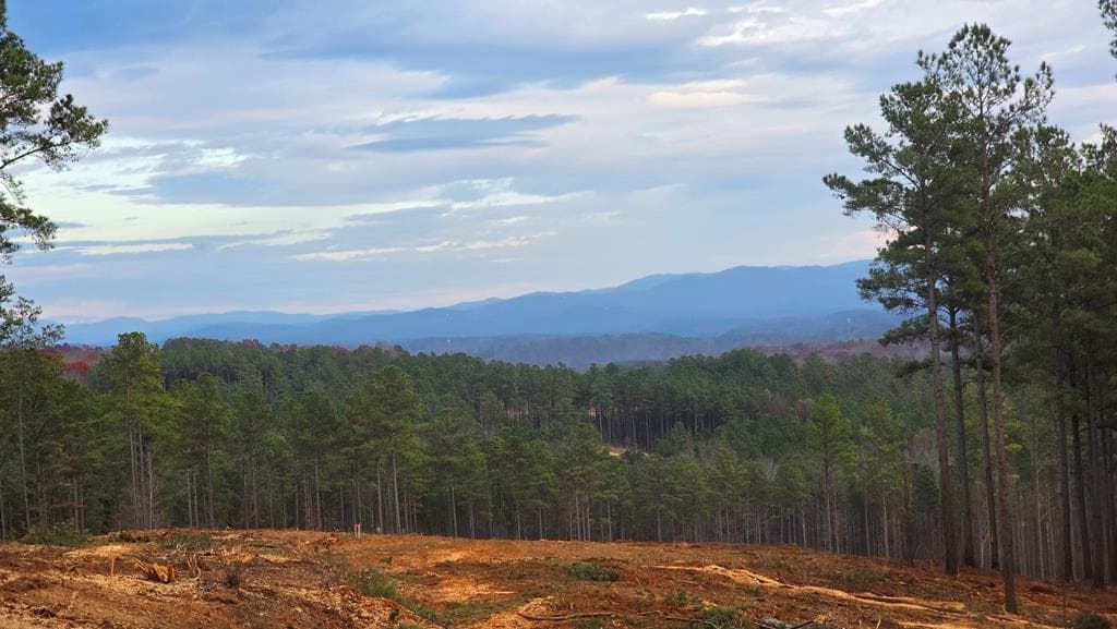 108 Staunton Court, Ellijay GA 30540 - Photo