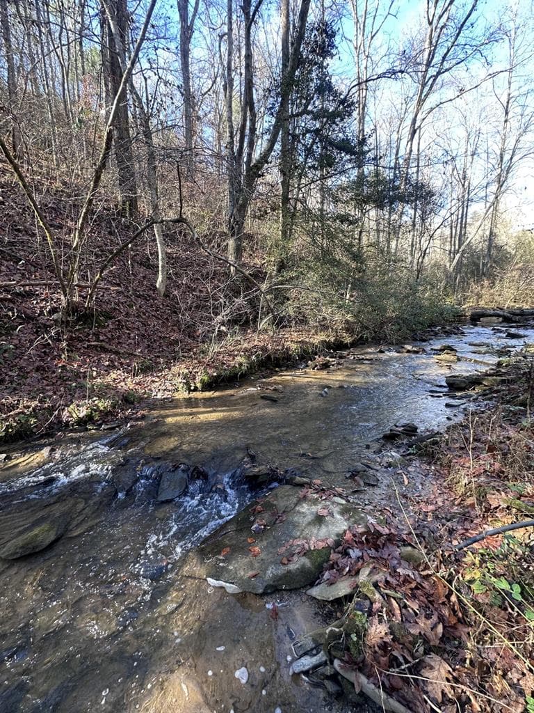 94 Springfield Parkway, Ellijay GA 30540 - Photo