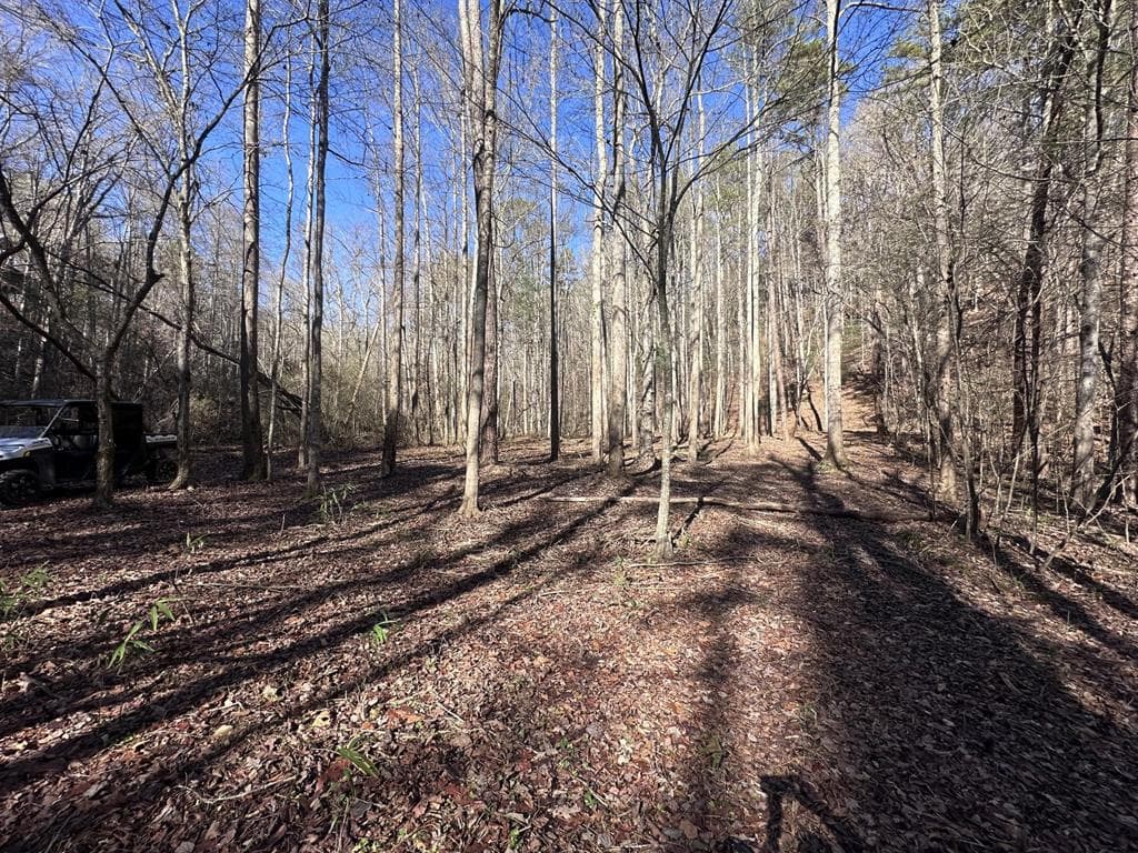 94 Springfield Parkway, Ellijay GA 30540 - Photo