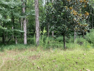 LT 3505R Castle Court, Ellijay GA 30540 - Photo