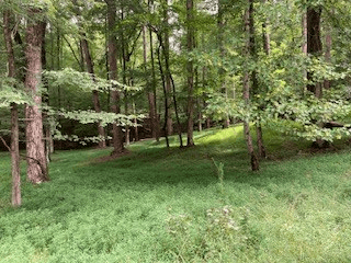 LT 3505R Castle Court, Ellijay GA 30540 - Photo