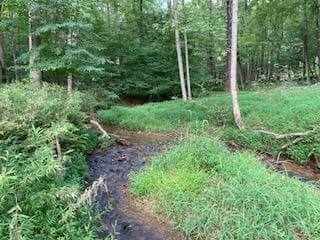 LT 3505R Castle Court, Ellijay GA 30540 - Primary photo