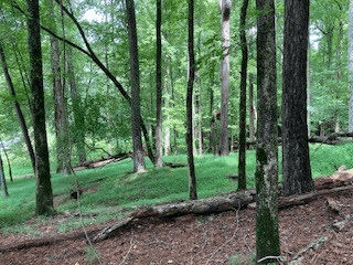 LT 3505R Castle Court, Ellijay GA 30540 - Photo