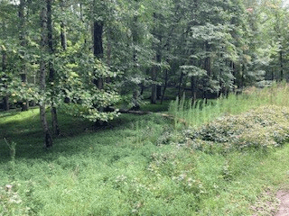 LT 3505R Castle Court, Ellijay GA 30540 - Photo