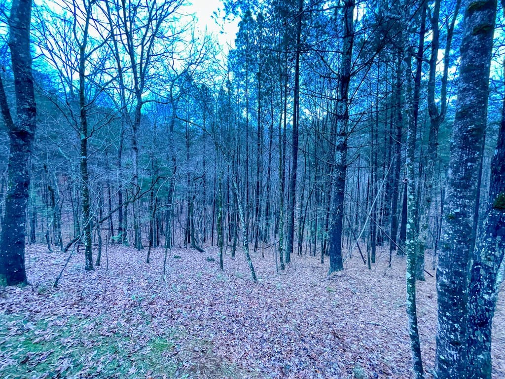 60 Mossy Oak Court, Ellijay GA 30540 - Photo