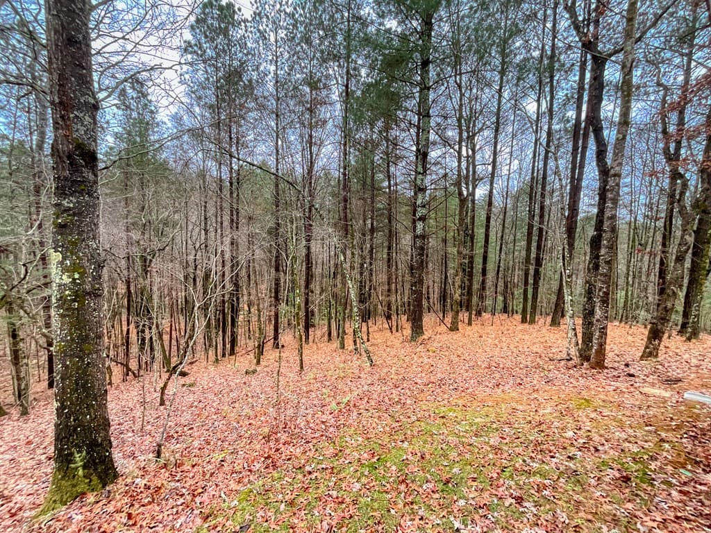 60 Mossy Oak Court, Ellijay GA 30540 - Photo