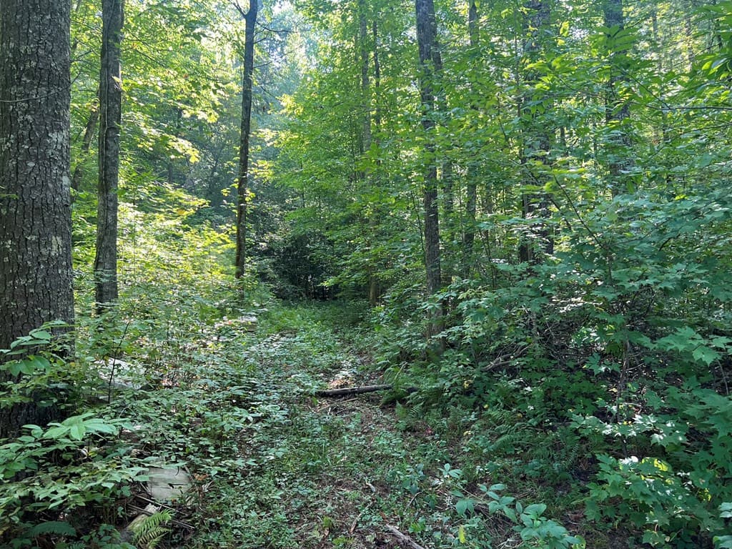 0 Rj Mountain View Drive, Murphy NC 28906 - Photo