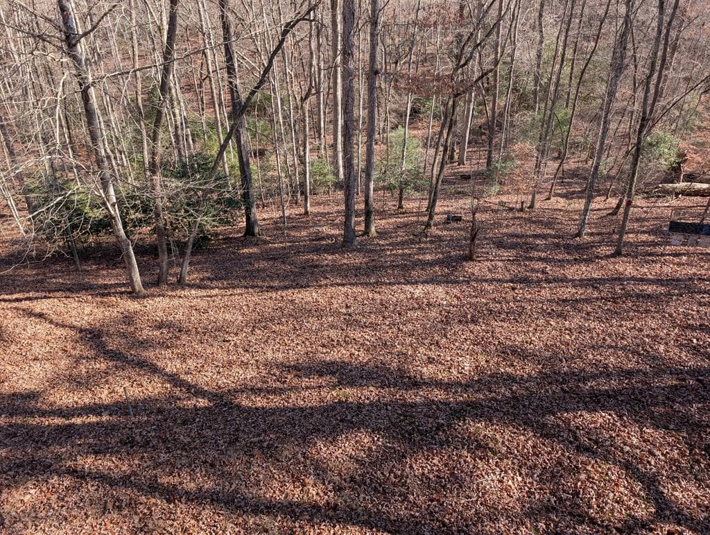 230 Pine Forest Loop, Blue Ridge GA 30513 - Photo