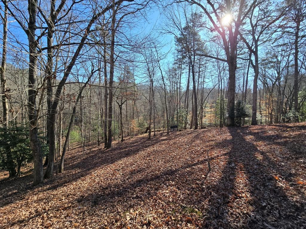 230 Pine Forest Loop, Blue Ridge GA 30513 - Photo