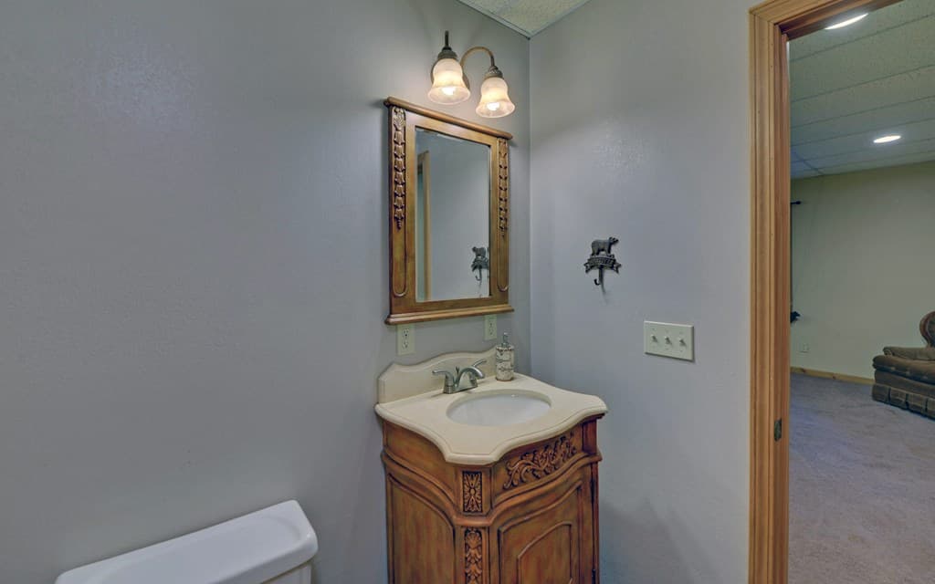230 Pine Forest Loop, Blue Ridge GA 30513 - Photo