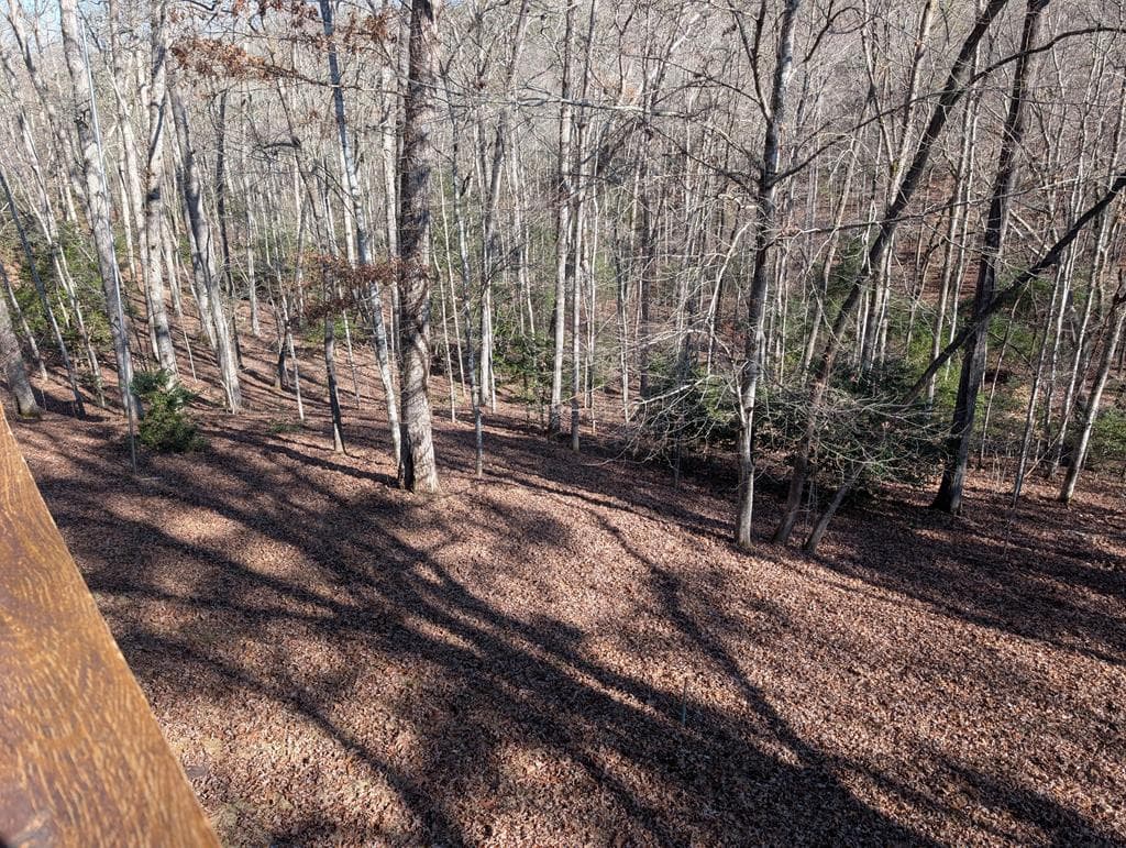 230 Pine Forest Loop, Blue Ridge GA 30513 - Photo