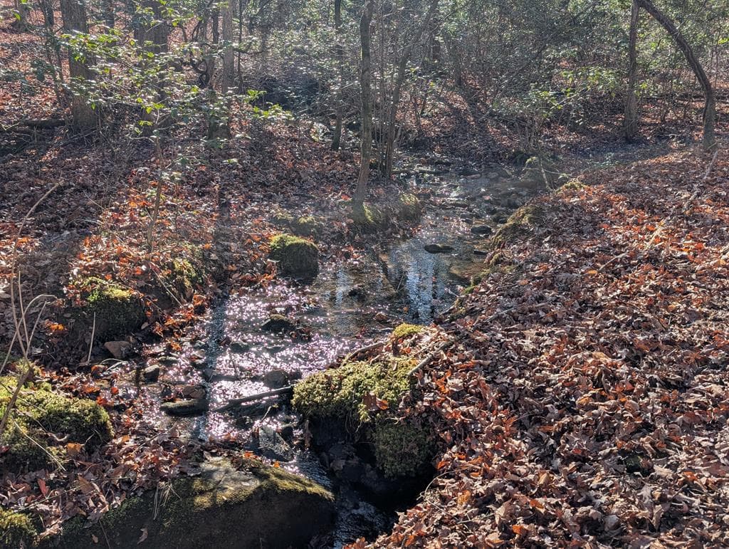 230 Pine Forest Loop, Blue Ridge GA 30513 - Photo