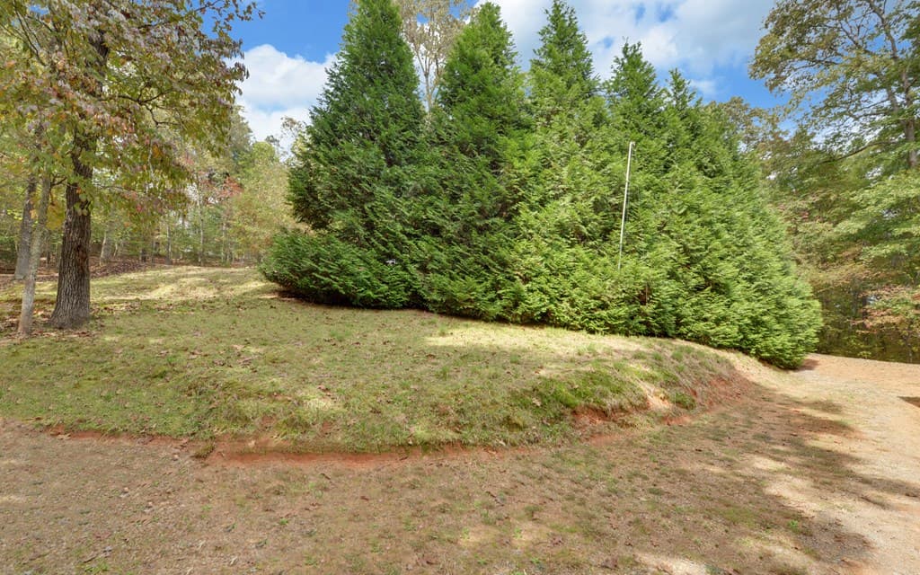230 Pine Forest Loop, Blue Ridge GA 30513 - Photo