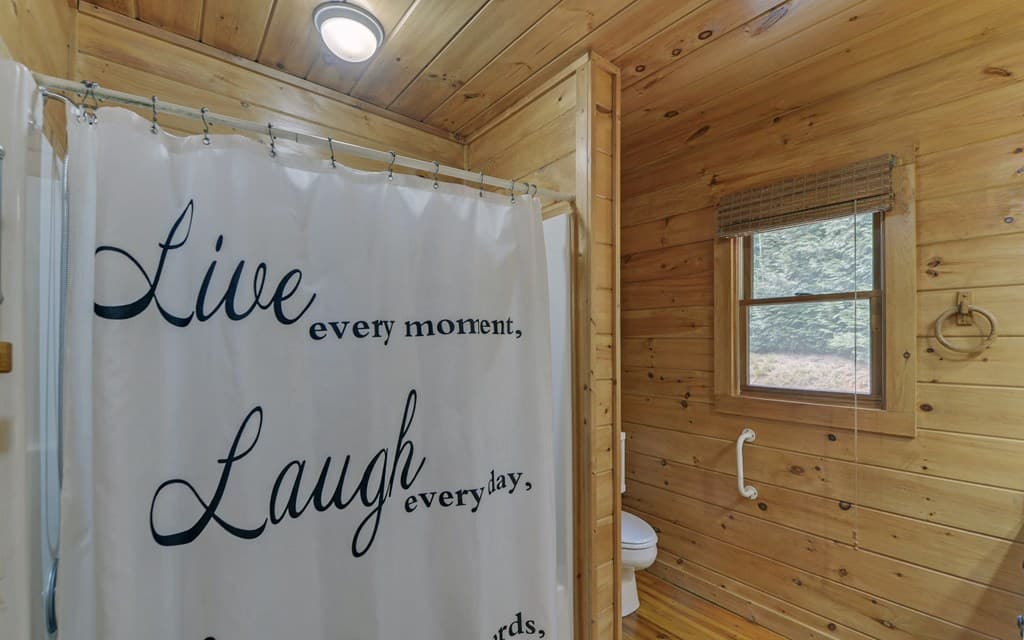 230 Pine Forest Loop, Blue Ridge GA 30513 - Photo