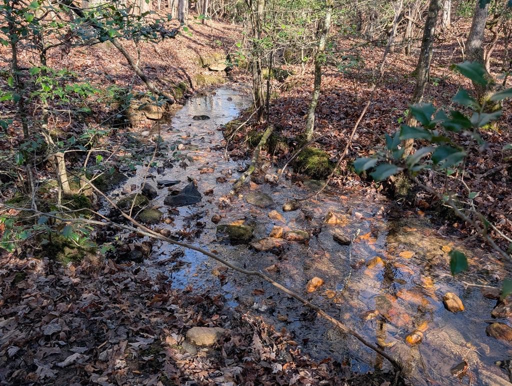 230 Pine Forest Loop, Blue Ridge GA 30513 - Photo
