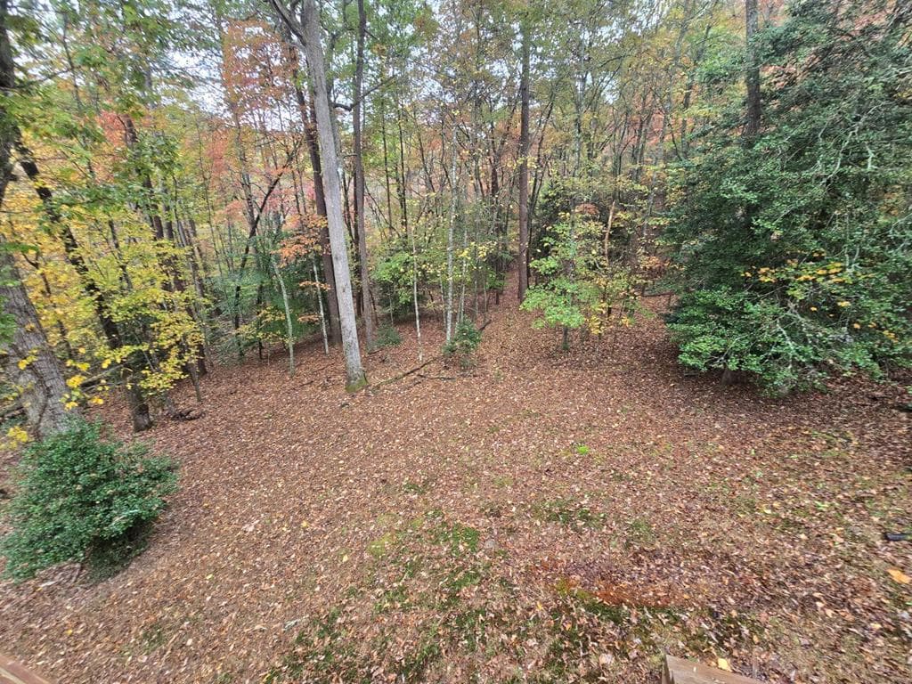 230 Pine Forest Loop, Blue Ridge GA 30513 - Photo