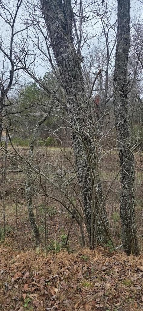 205 Posey Place, Murphy NC 28906 - Photo
