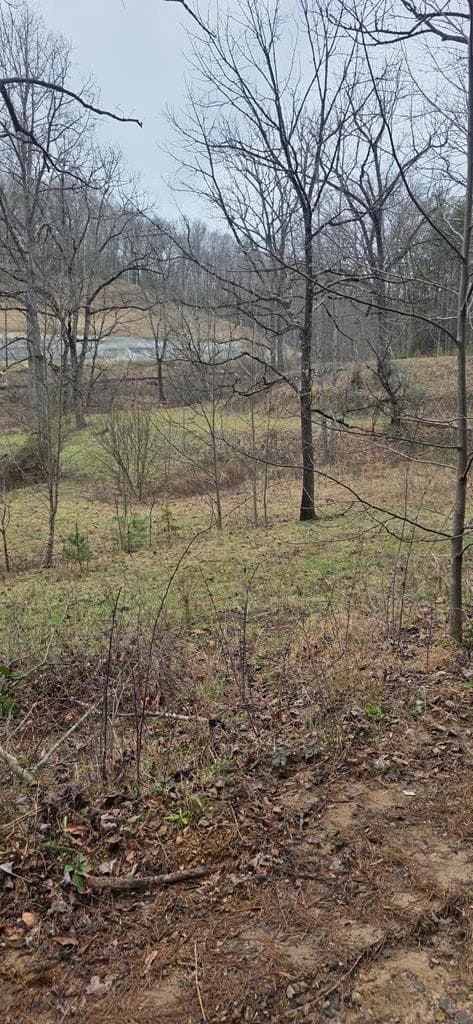 205 Posey Place, Murphy NC 28906 - Photo
