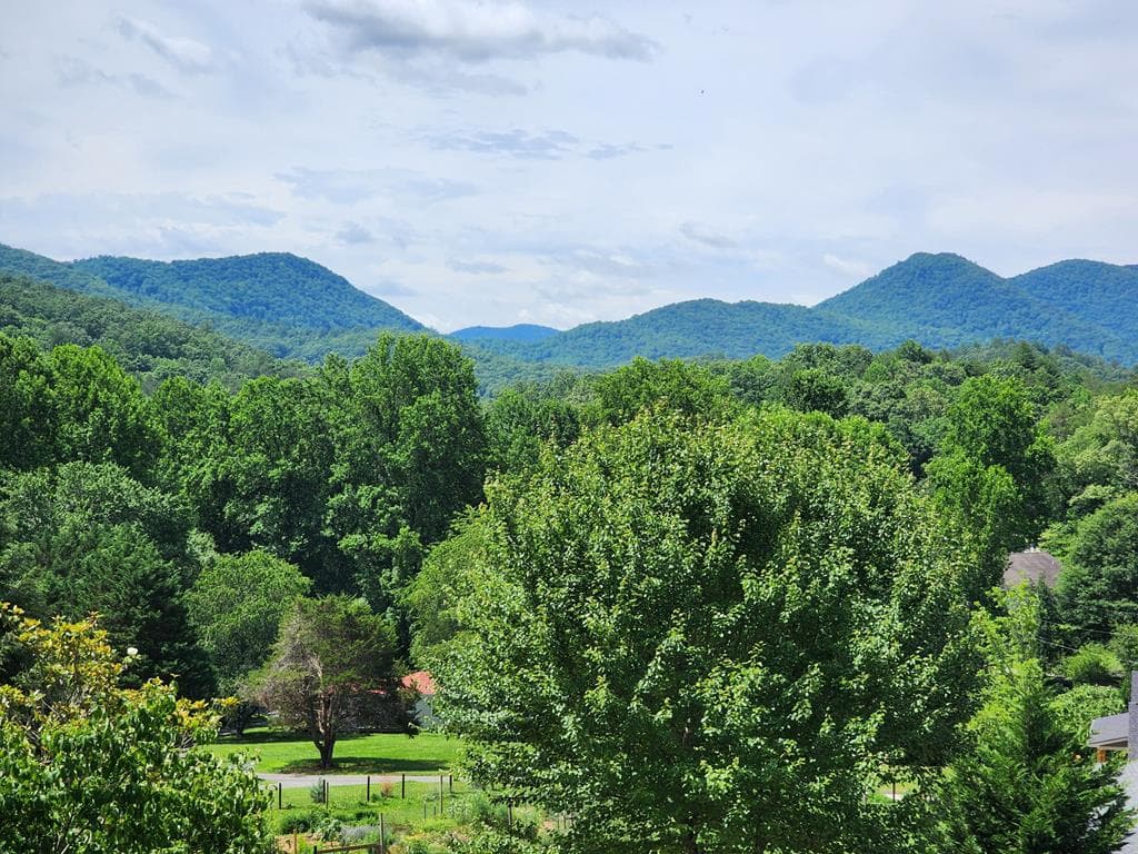 2276 Lovingood Rd., Hiawassee GA 30546 - Primary photo