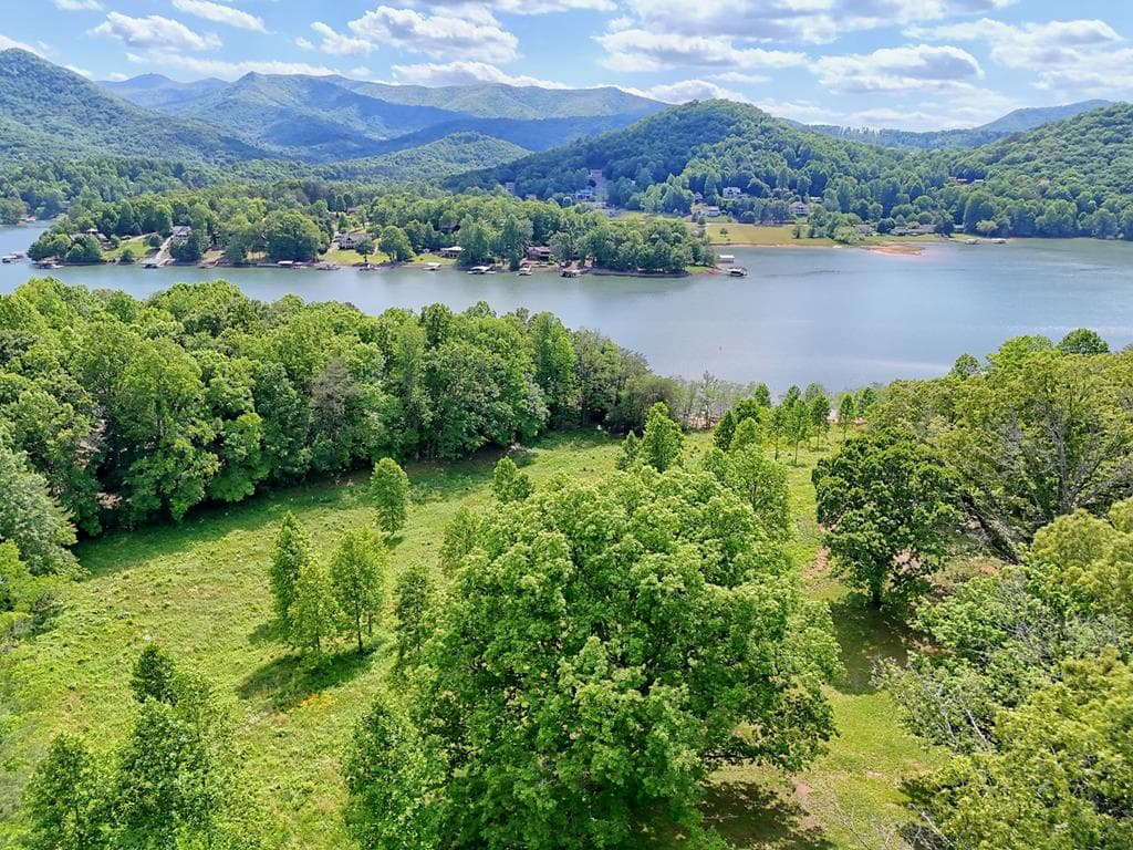 314 Lakeside Drive, Hiawassee GA 30546 - Photo