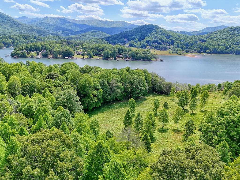 314 Lakeside Drive, Hiawassee GA 30546 - Photo