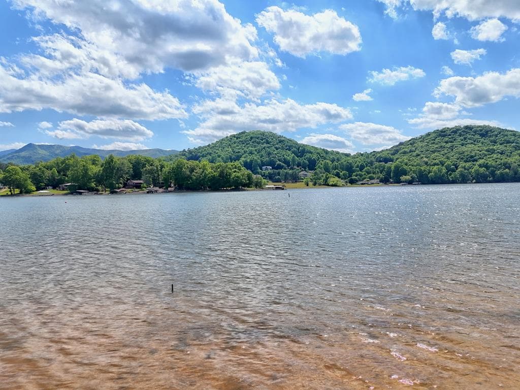 314 Lakeside Drive, Hiawassee GA 30546 - Photo