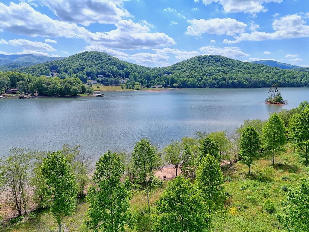 314 Lakeside Drive, Hiawassee GA 30546 - Photo