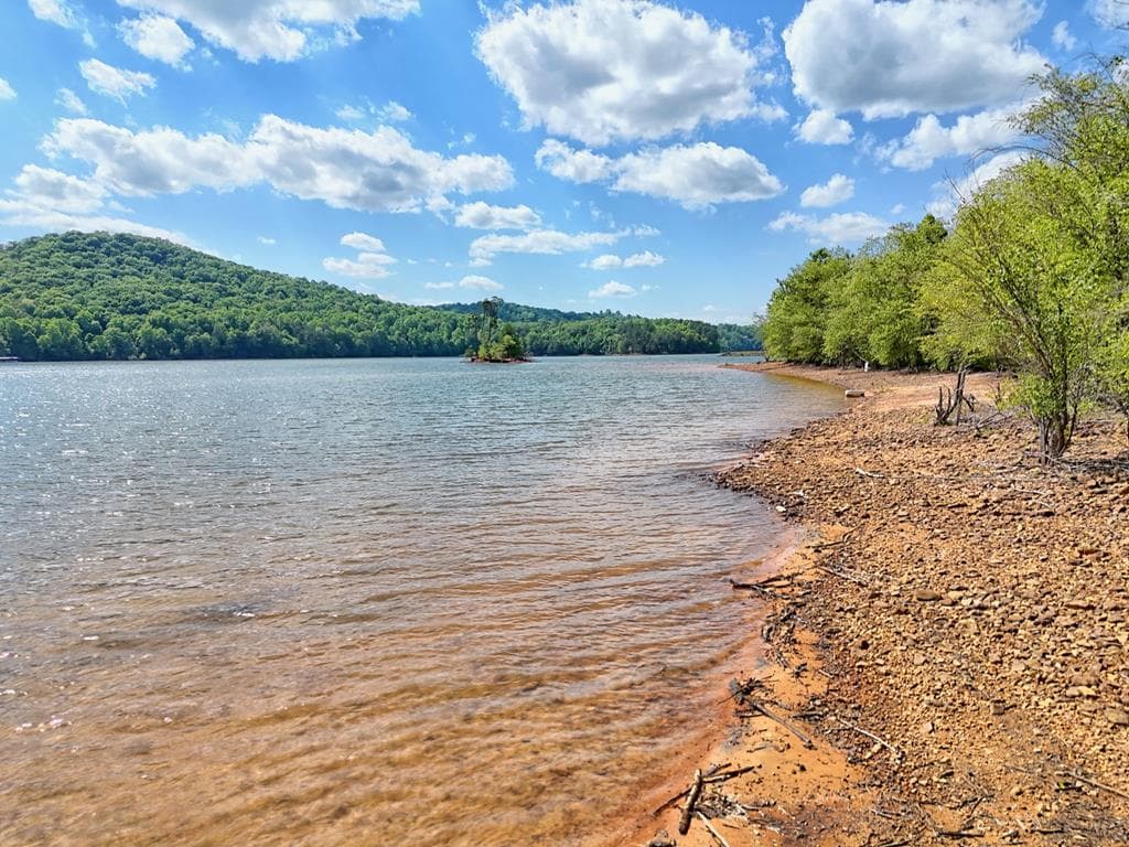 314 Lakeside Drive, Hiawassee GA 30546 - Photo
