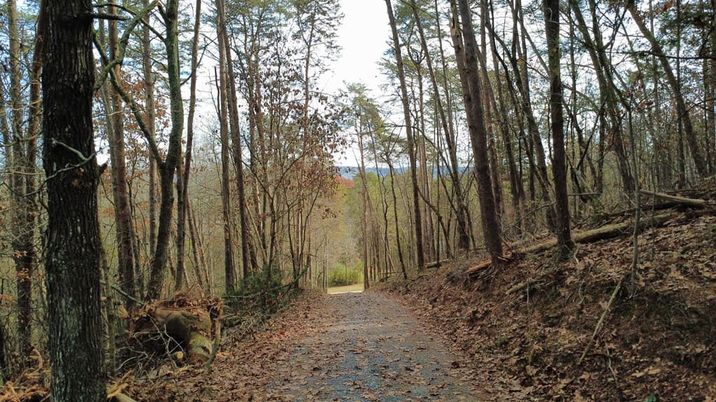 Tract 30 Gillespie Road, Fairmont GA 30139 - Photo