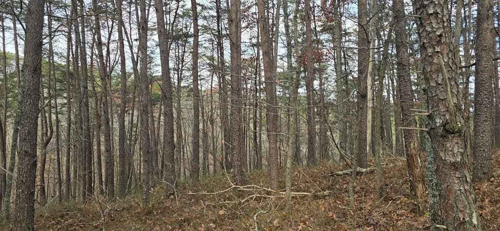 Tract 30 Gillespie Road, Fairmont GA 30139 - Photo
