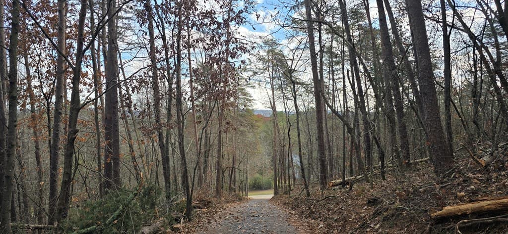 Tract 30 Gillespie Road, Fairmont GA 30139 - Photo