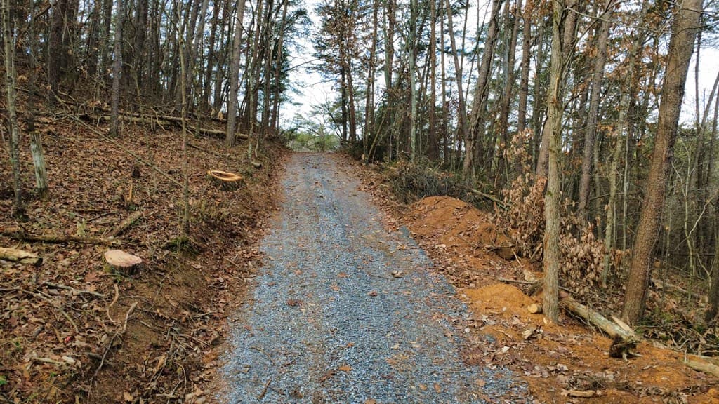 Tract 30 Gillespie Road, Fairmont GA 30139 - Photo