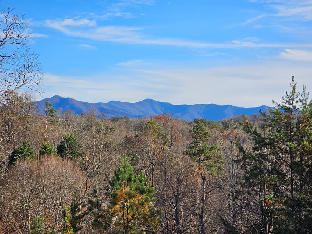 2567 Todd Shook Road, Young Harris GA 30582 - Photo