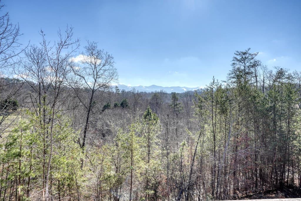 2567 Todd Shook Road, Young Harris GA 30582 - Photo