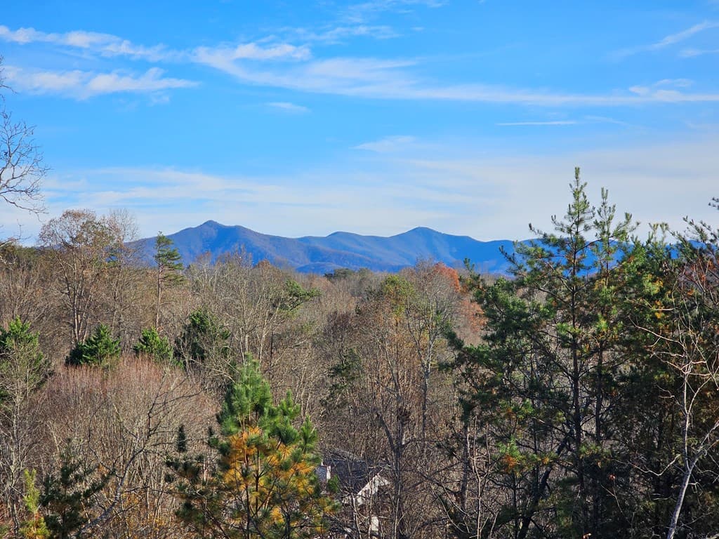 2567 Todd Shook Road, Young Harris GA 30582 - Photo