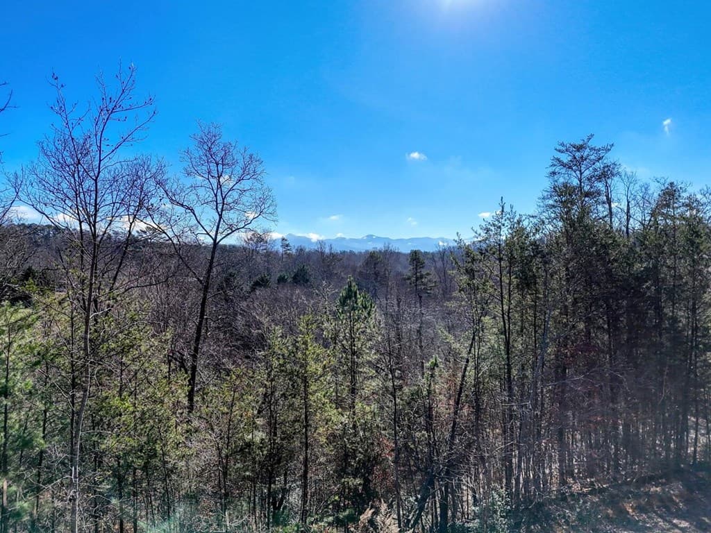 2567 Todd Shook Road, Young Harris GA 30582 - Photo