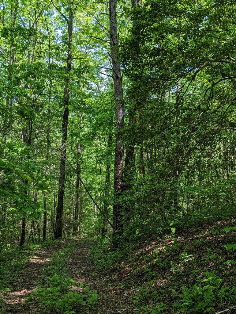 00 Buck Creek Trail, Epworth GA 30541 - Photo