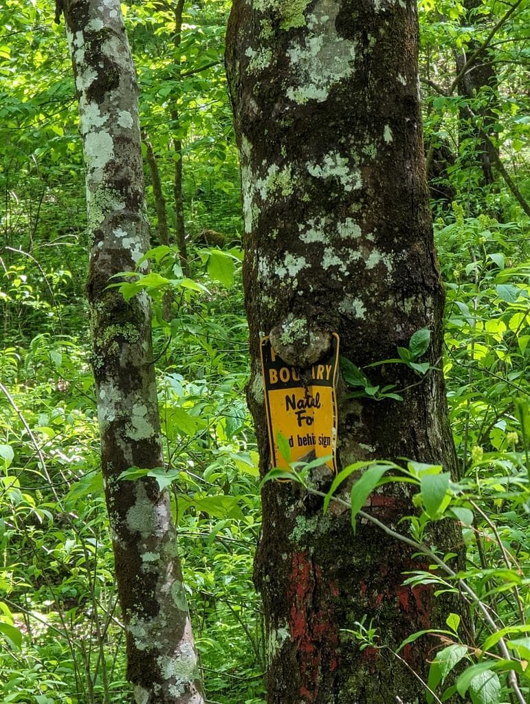 00 Buck Creek Trail, Epworth GA 30541 - Primary photo