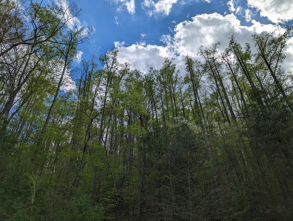 00 Buck Creek Trail, Epworth GA 30541 - Photo