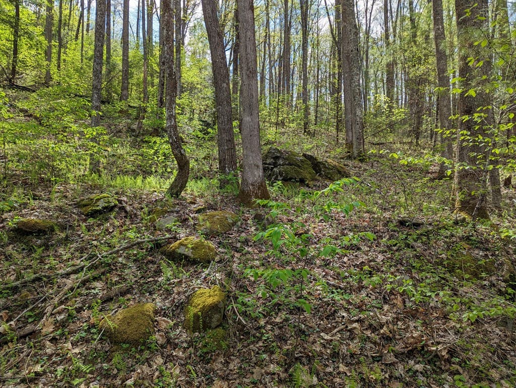 00 Buck Creek Trail, Epworth GA 30541 - Photo