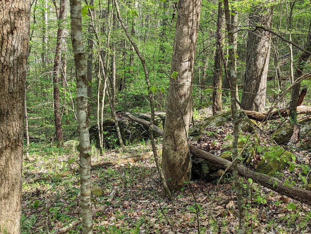 00 Buck Creek Trail, Epworth GA 30541 - Photo