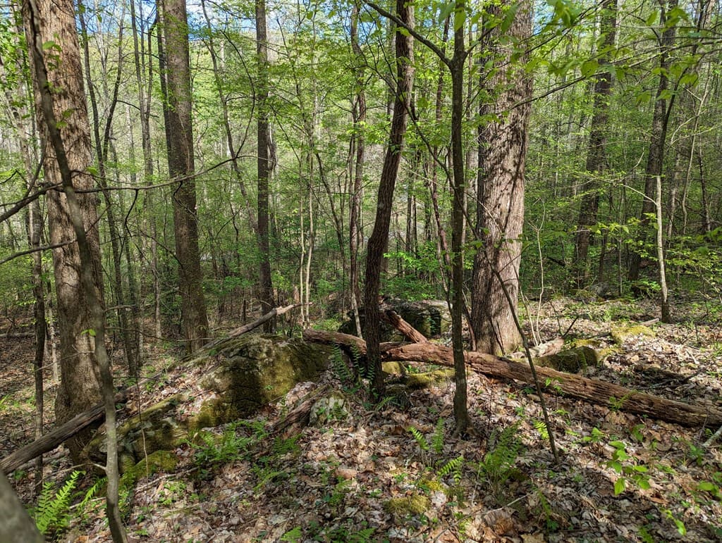 00 Buck Creek Trail, Epworth GA 30541 - Photo
