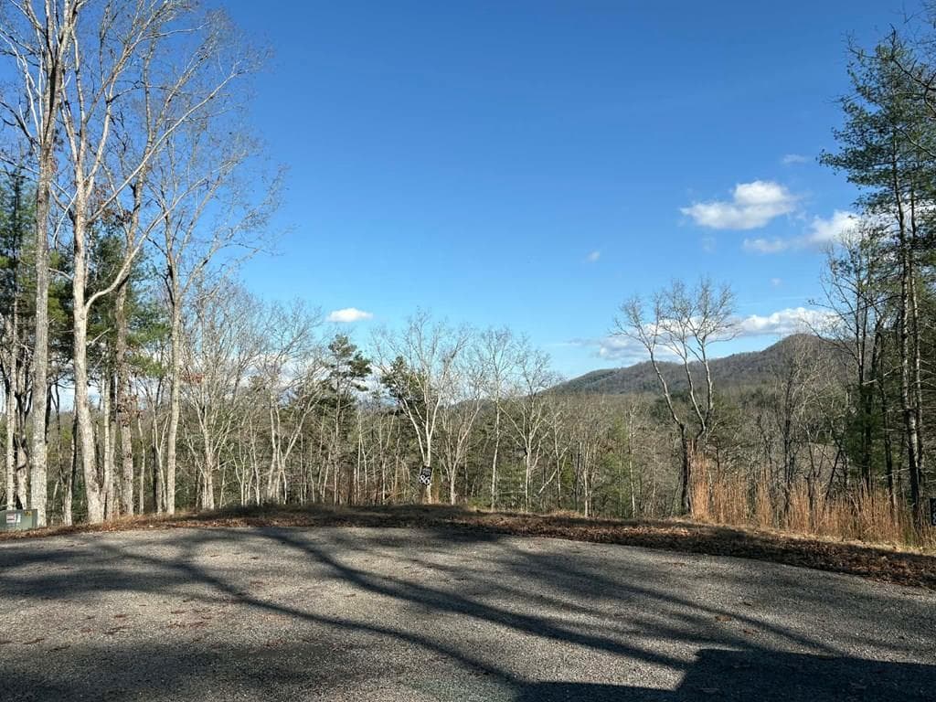 Lot 86 Lookout Ridge, Mineral Bluff GA 30559 - Photo
