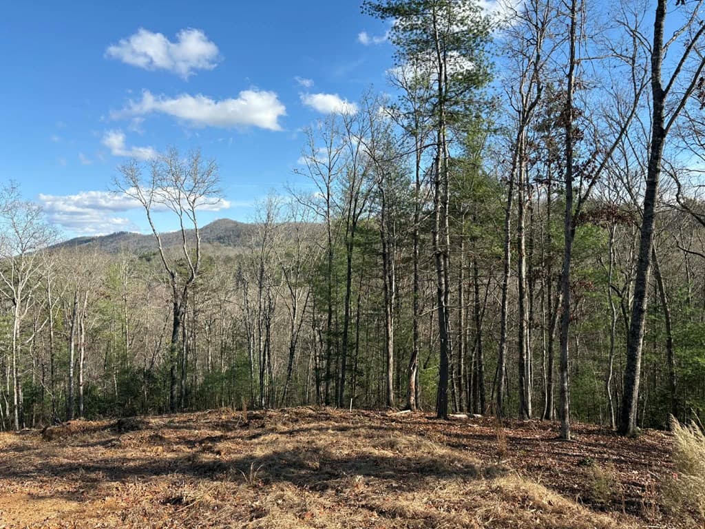 Lot 86 Lookout Ridge, Mineral Bluff GA 30559 - Photo