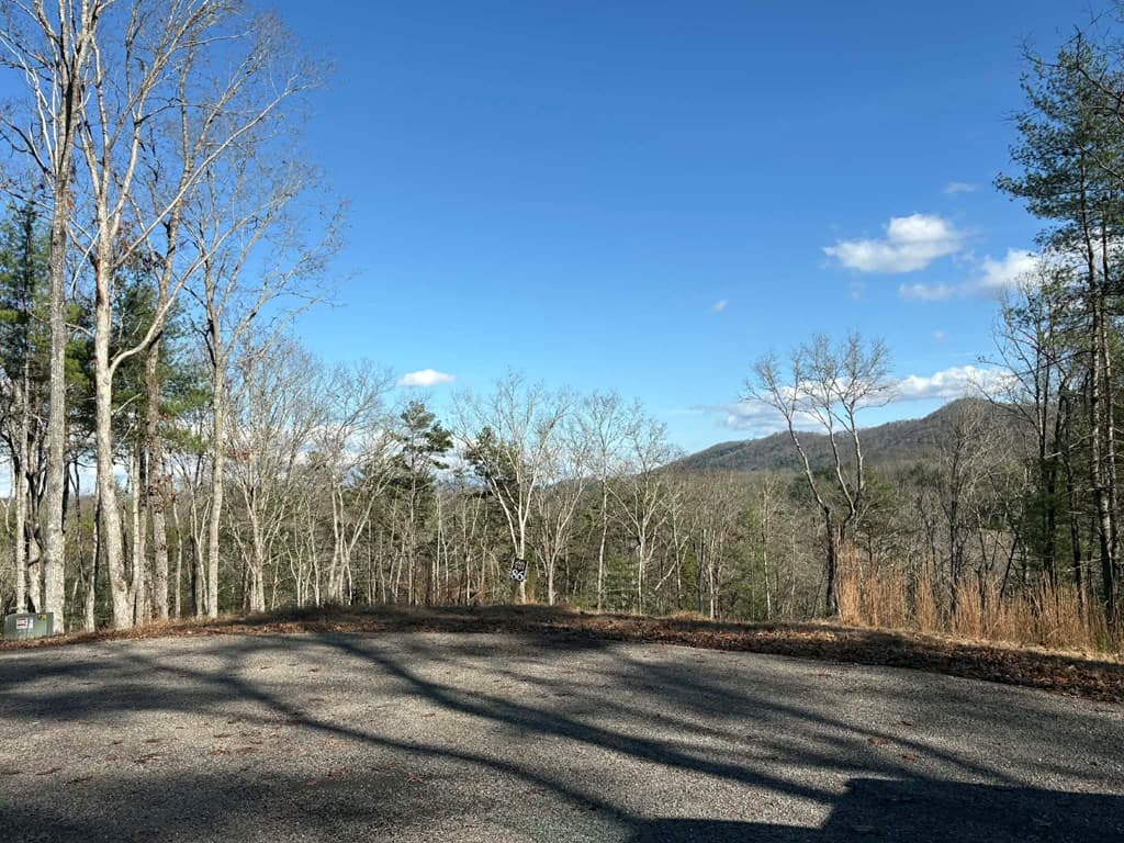 Lot 86 Lookout Ridge, Mineral Bluff GA 30559 - Photo