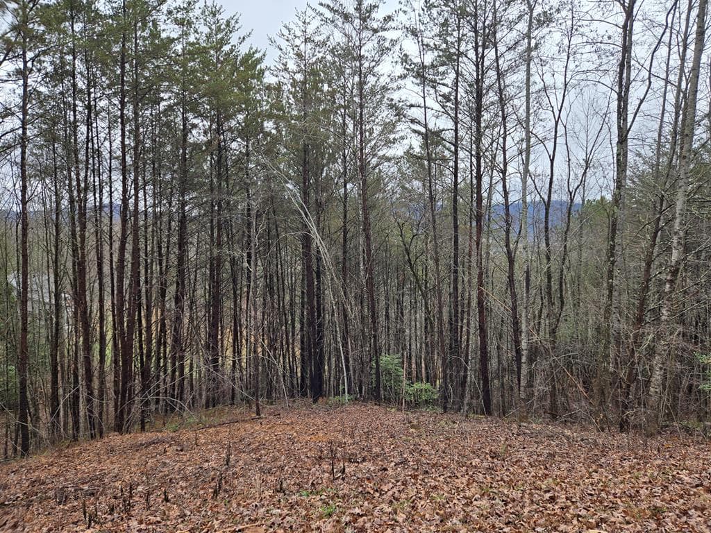 Lot 101 Eagles View Crescent, Hayesville NC 28904 - Primary photo