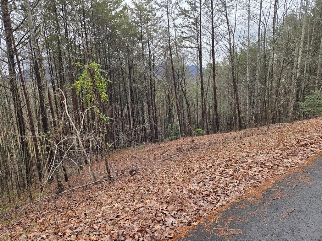 Lot 101 Eagles View Crescent, Hayesville NC 28904 - Photo
