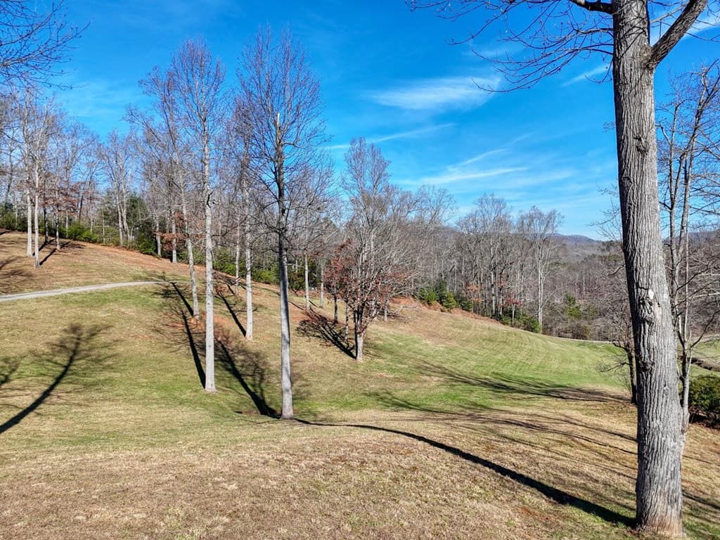 215 Harmony Lane, Hiawassee GA 30546 - Photo